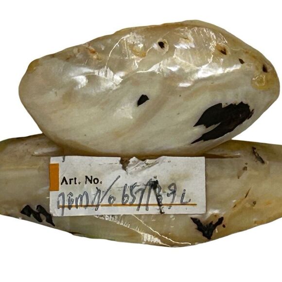 NWT Handcarved Tourist Mother Of Pearl Flamingo Deco Shell Art Multicolor Signed - Picture 11 of 14